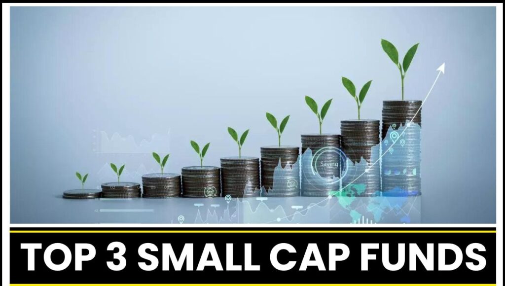 Top 3 Small Cap Funds